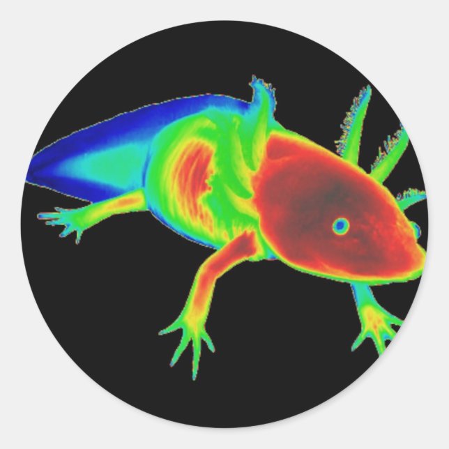 Adesivos Rainbow Axolotl (Frente)