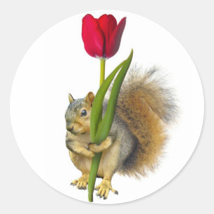Adesivos Red Tulip Quirrel