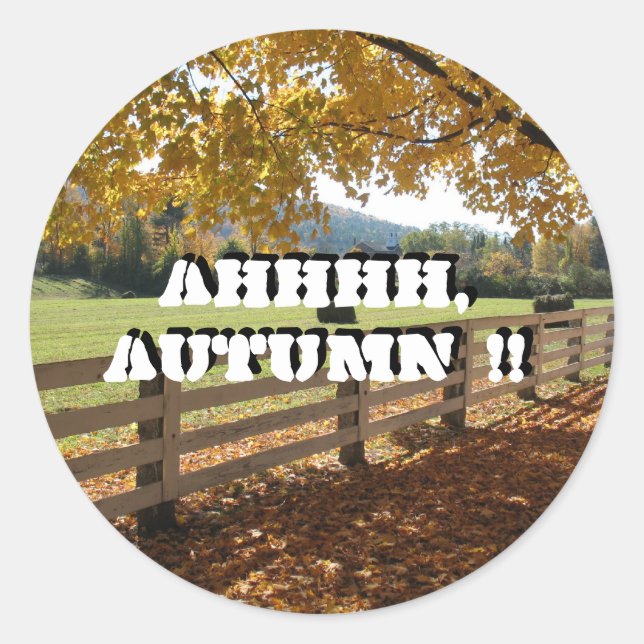 Adesivos redondos (Frente)