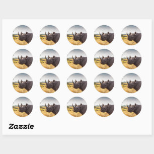 Adesivos Rhino Branco