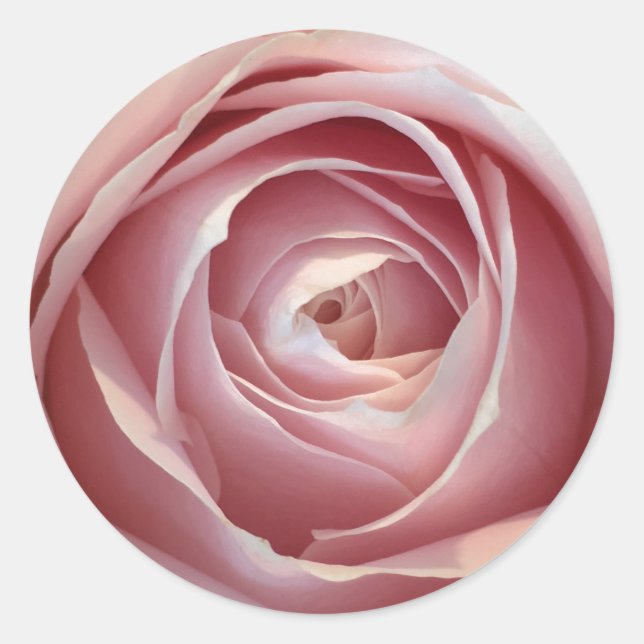 Adesivos Rosa Rosa Rosa Rosa Rosa Rosa Rosa Rosa (Frente)