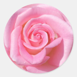 Adesivos Rosa Rosa Rosa Rosa Rosa Rosa Rosa Rosa