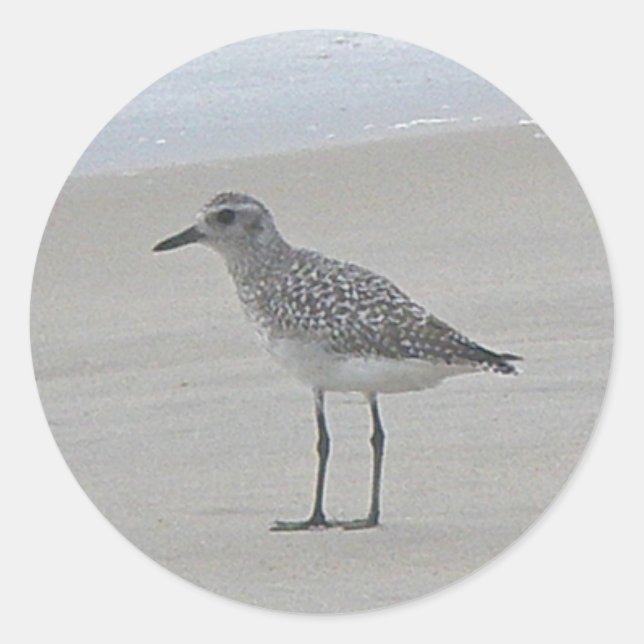 Adesivos Sandpiper (Frente)
