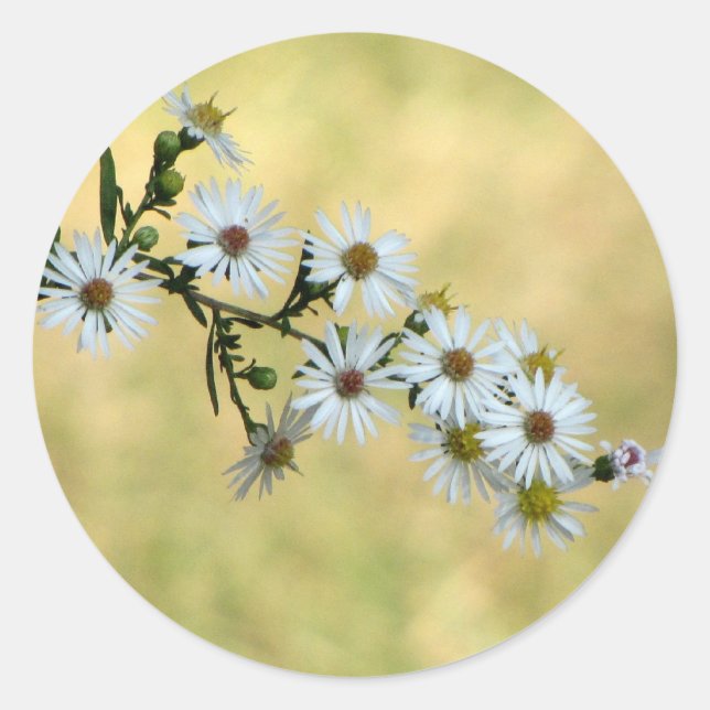 Adesivos SimplesDelight (Frente)