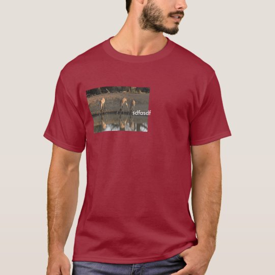adf camisetas