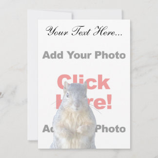 Adicionar Um Esquilo Personalizado