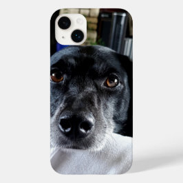 Adicione a foto do seu cão a este personalizado