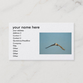 adicione-o cartões de visitas da informação