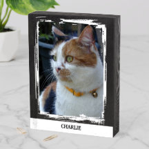 Adicione o nome do gato preto e branco foto rústic