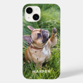Adicione o seu próprio nome personalizado Pet Dog 