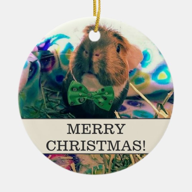 ADICIONE SEUS PRÓPRIOS enfeites de natal da FOTO & (Frente)