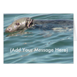 Adicione sua mensagem aqui Cartão de Selo Cujo