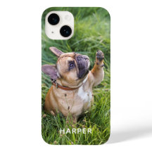 Adicione Sua Própria Foto do Cachorro Personalizad