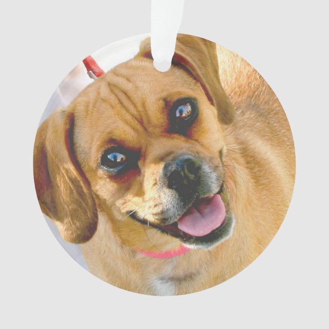 Adicione uma foto e todo o texto no ornamento (Frente)