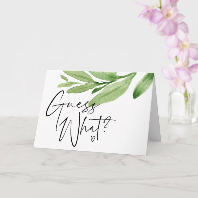 Adivinha Tropical O Que Revela O Anúncio De Gravid (Orquídea)