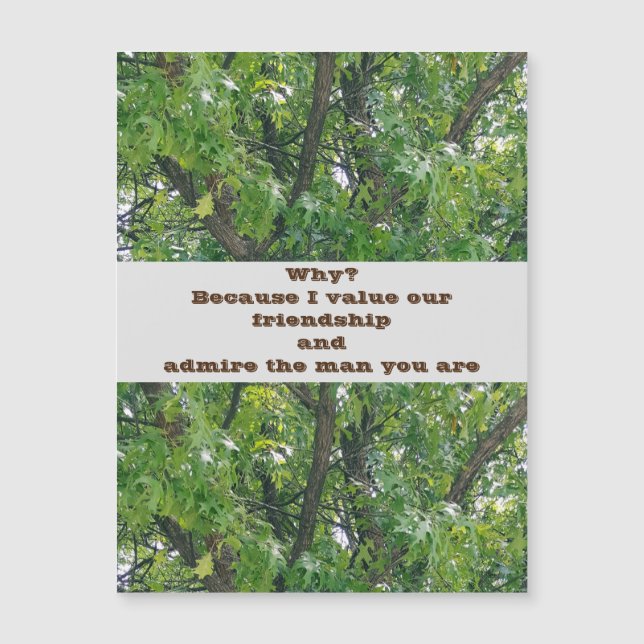 Admire Friendship Magnetic Greeting Card (Frente)
