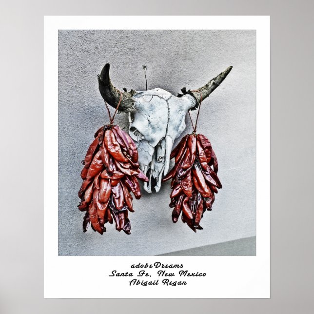 adobeDreams por Abigail Regan poster (Frente)