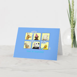 Adoção de Bebês Animais no Cartão Windows