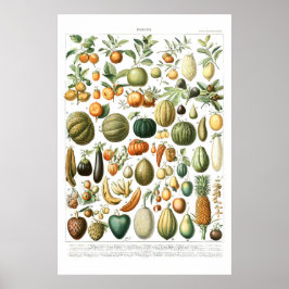Adolphe Millot Fruta Poster