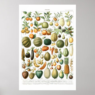 Adolphe Millot Fruta Poster