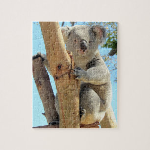 Adorable Koala Quebra-cabeça - Vida selvagem austr