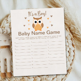 Adorable Owl Baby Shower Boy