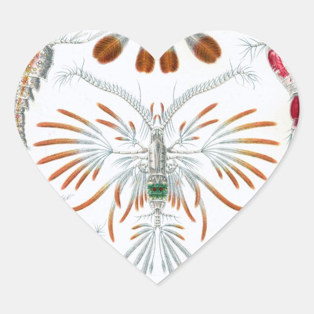 Adoramos adesivos de Ilustrações Científicas (Frente)