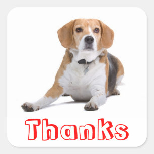 Adoráveis Adesivos de Agradecimento com Cachorrinh