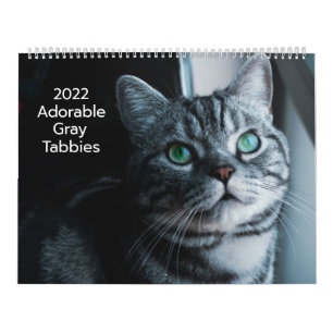 Adoráveis Gatinhos Cinzentos Calendário 2022