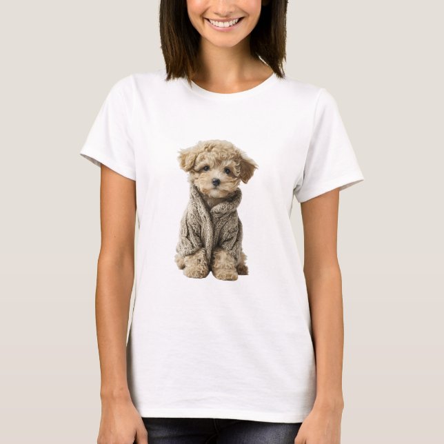 Adorável cachorrinho de Poodle Toy em Suéter de Tr (Frente)