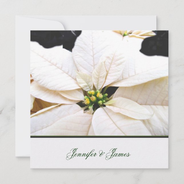 Adorável Convite de Casamento de Poinsettia (Frente)