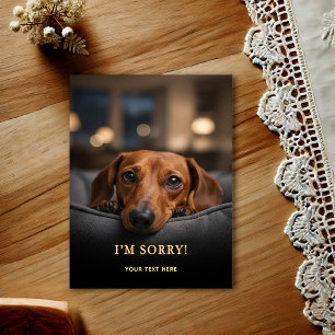 Adorável Dachshund Desculpe Cartão Postal
