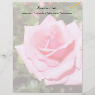 adorável flor rosa rosa com corações doces