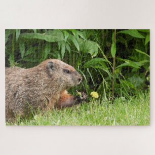 Adorável Groundhog Picando Flores Quebra-cabeça