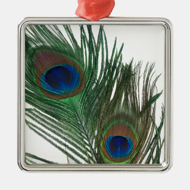 Adorável Ornamento de Penas Brancas (Frente)