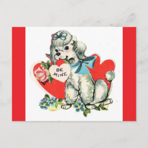 Adorável Poodle Branco Cartão Postal Vintage do Di