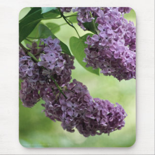 Adorável Primavera Mousepad