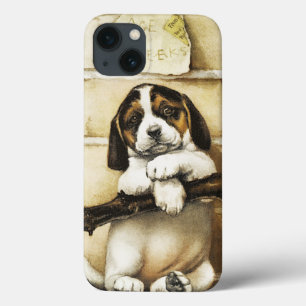 Adorável Puppy
