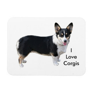 Adoro íman de córgis
