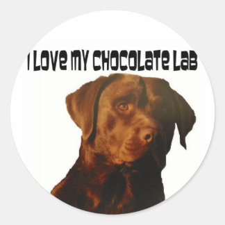 adoro os adesivos do meu laboratório de chocolate