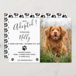 Adotamos novo anúncio de Pet