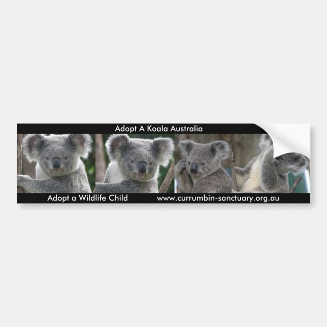 Adote um adesivo de para-choque Koala Austrália (Frente)