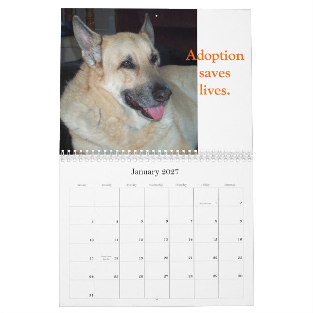 Adote um calendário do animal do abrigo (Jan 2027)
