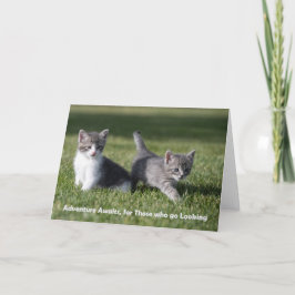 Adventure aguarda cartão de nota de gatinho