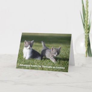 Adventure aguarda cartão de nota de gatinho