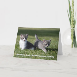 Adventure aguarda cartão de nota de gatinho