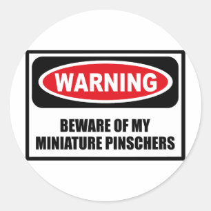 Advertir BEWARE de MINHA etiqueta dos PINSCHERS