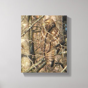 AE falcão impressionante em uma arte das canvas d