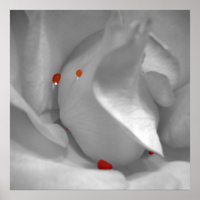 Aeolian Watercolor Impressão (Frente)