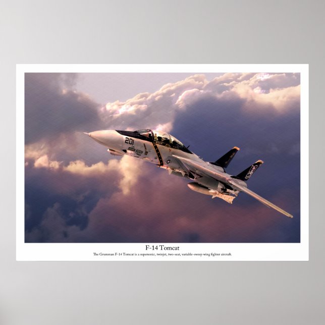 Aeronáutica Poster "F-14 Tomcat" (Frente)